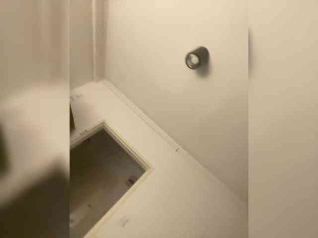Kusikusi's cam show statistics and live stream