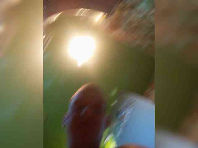 MAKS77S