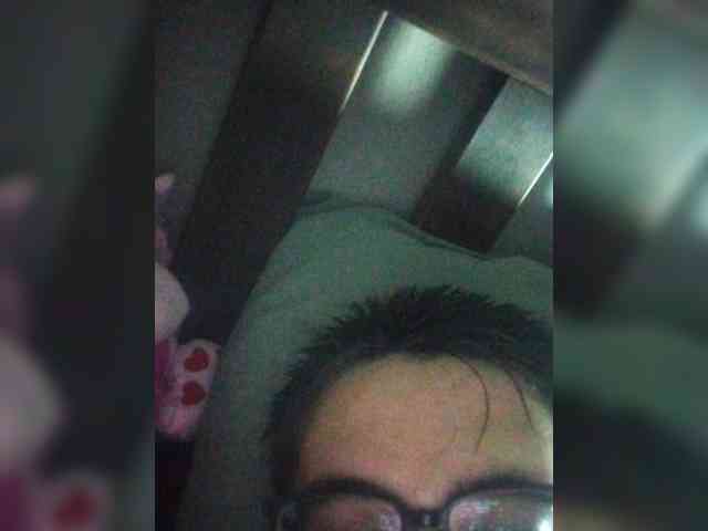 Model: Bunny48