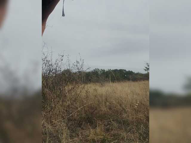 kwadro4