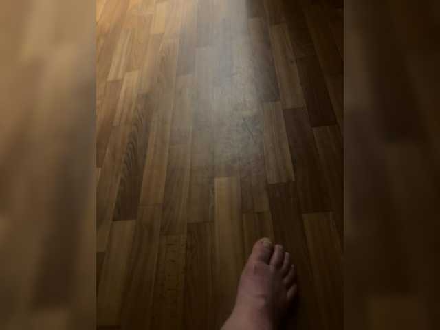 Lesh1511