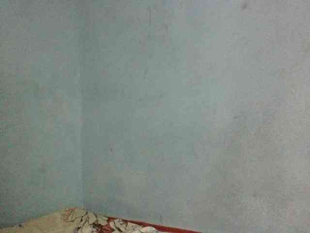 ALYASH2