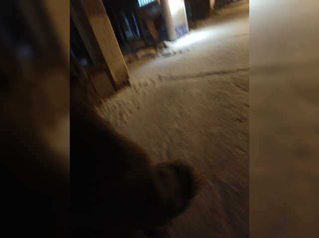 VirginiyaAG