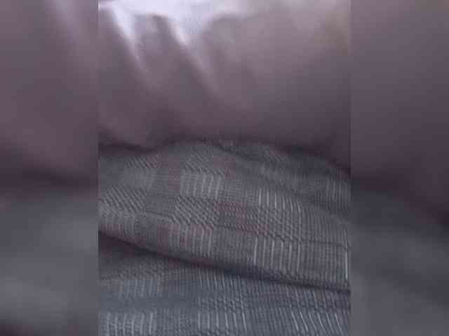 Agrego18