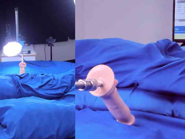 Modelo: Lexie-Pandora