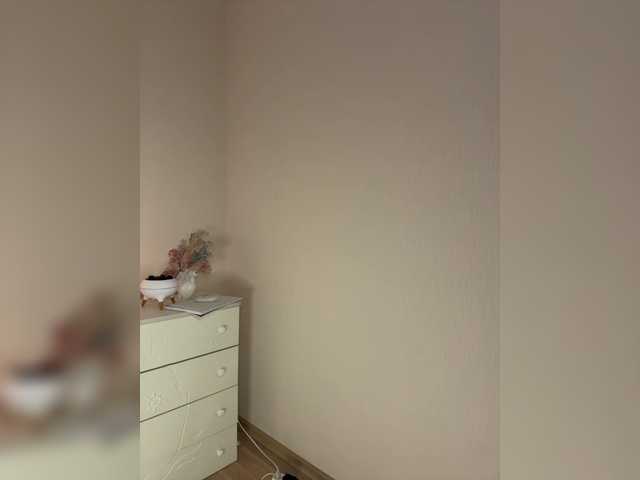 Lunarr-kitten live cam preview