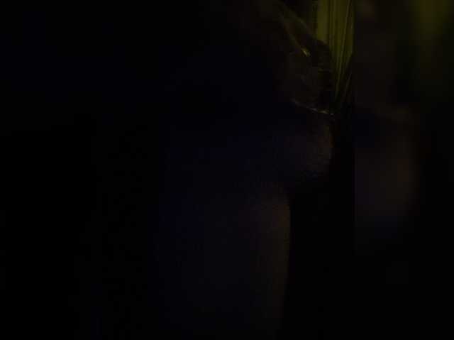 MissSeXx