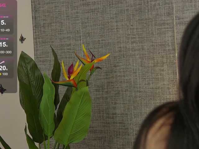 AriaRyves live cam on BongaCams