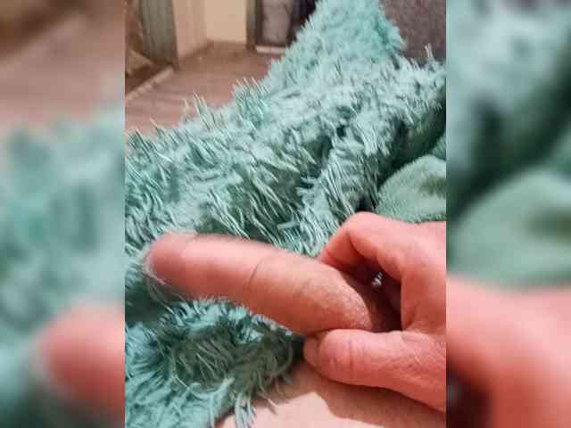 Boria210480