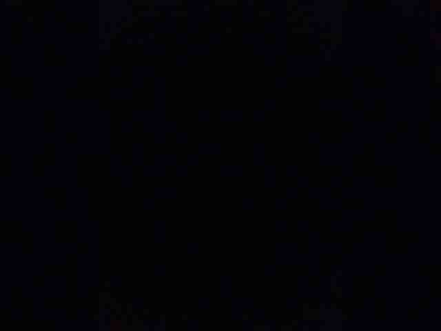 Boria210480
