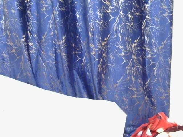 Blackfoxebony live cam on BongaCams