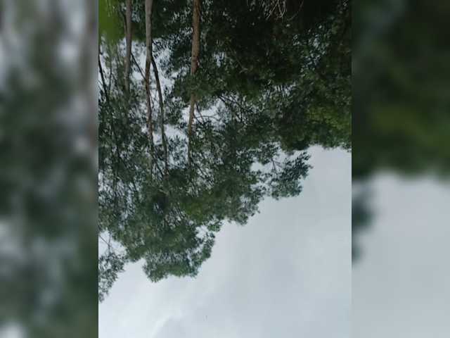 Petite_Ula webcam