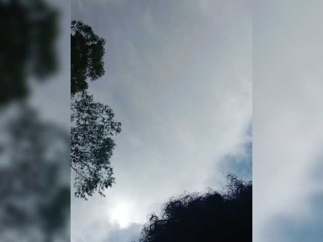 Petite_Ula webcam