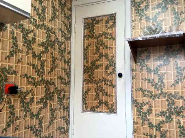 AriaCutie