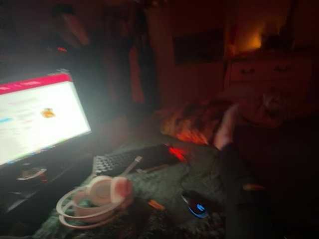 PumaLadyPlayground webcam