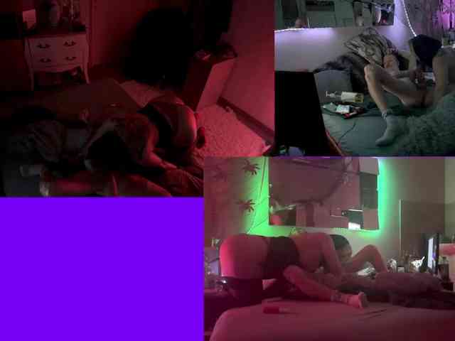 PumaLadyPlayground