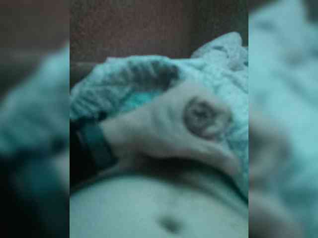 Vitos87