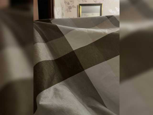lisenokfox