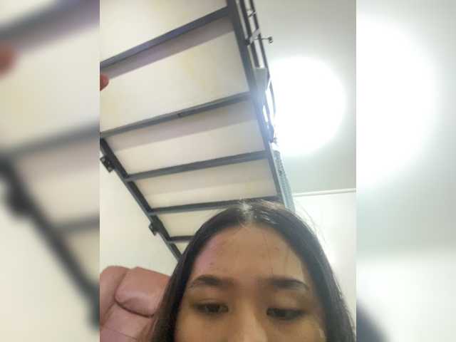 Asiantiny27