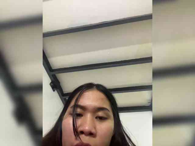 Asiantiny27