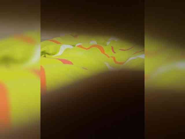 sanhay-1