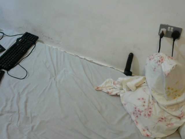 Curvylizy live cam