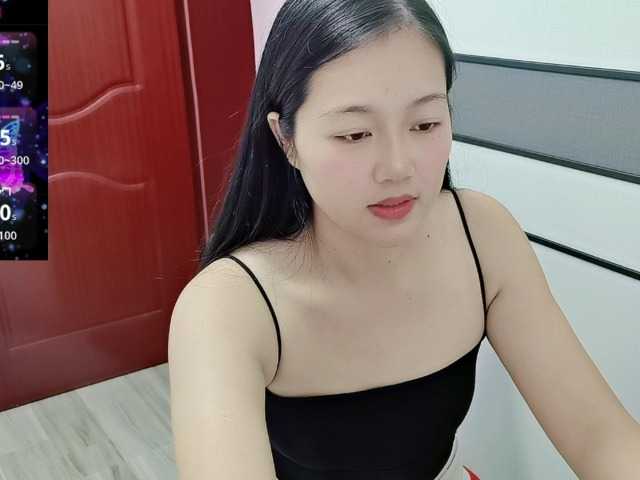 panda-sc231