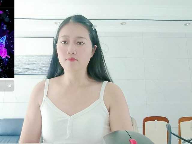panda-sc231