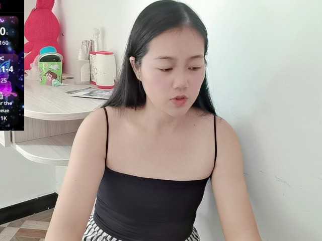 panda-sc231