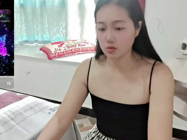 panda-sc231