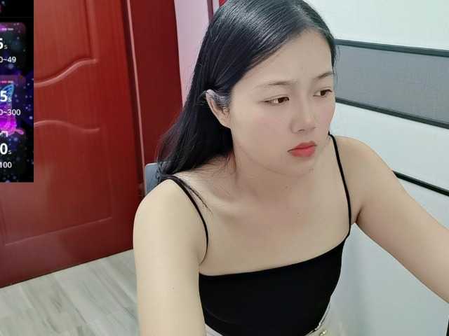panda-sc231