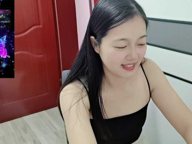 panda-sc231