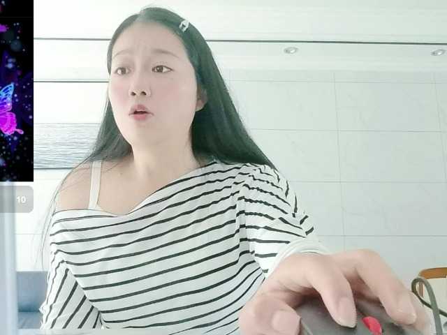 panda-sc231