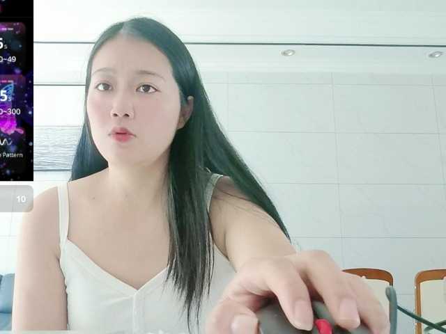 panda-sc231