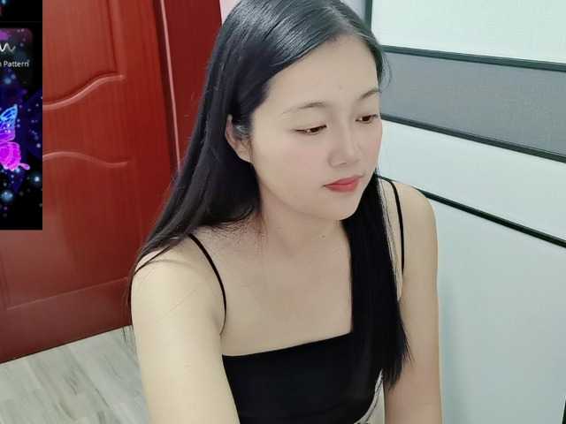 panda-sc231