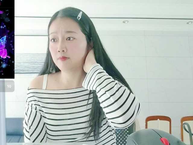 panda-sc231