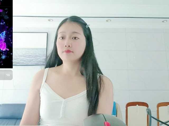 panda-sc231