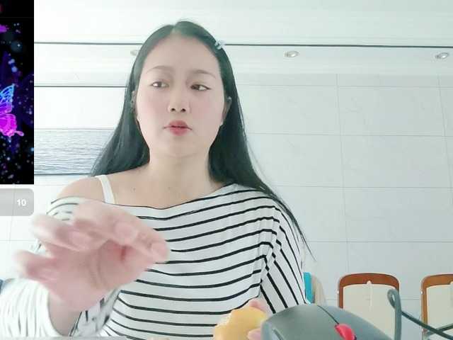 panda-sc231