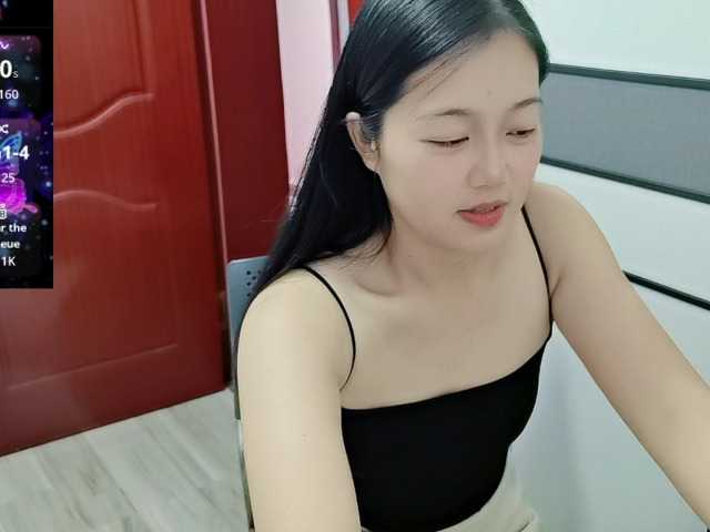 panda-sc231