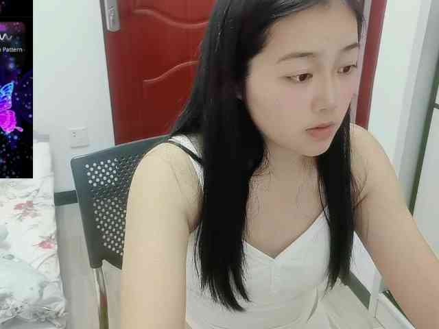 panda-sc231