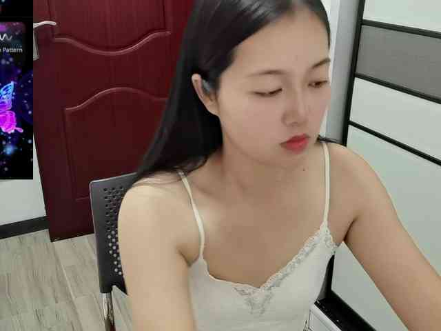 panda-sc231
