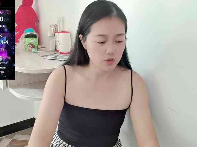 panda-sc231