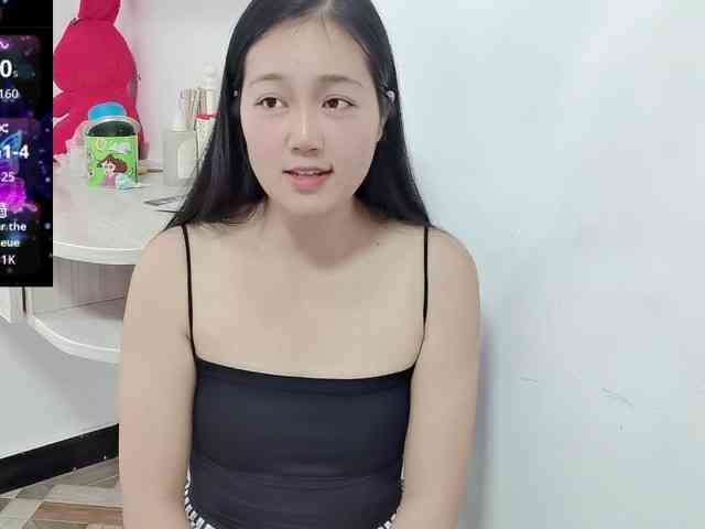 panda-sc231