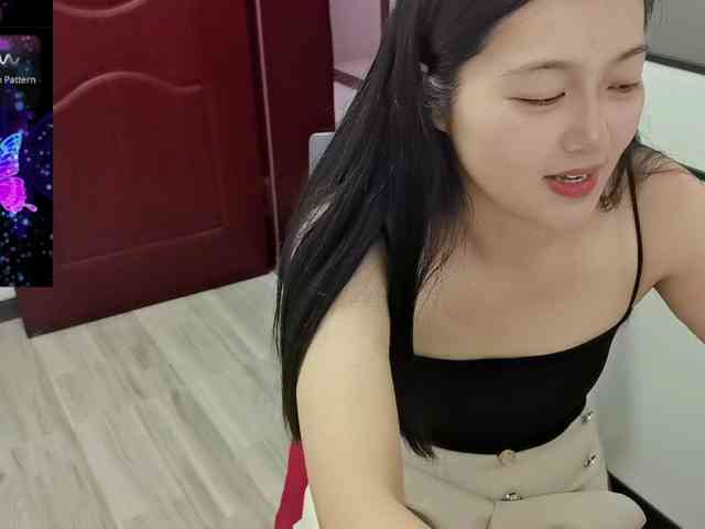 panda-sc231