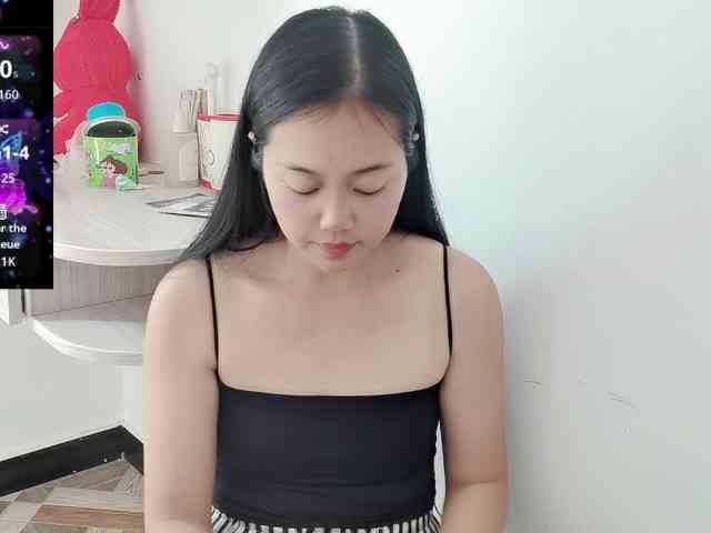 panda-sc231