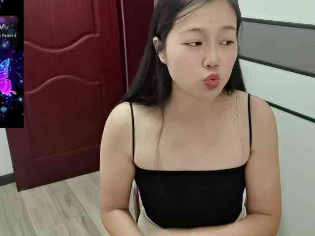 panda-sc231