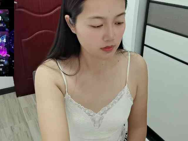 panda-sc231
