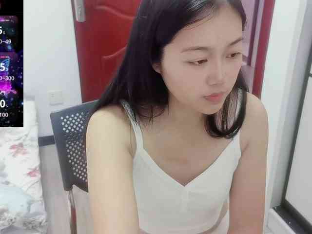 panda-sc231