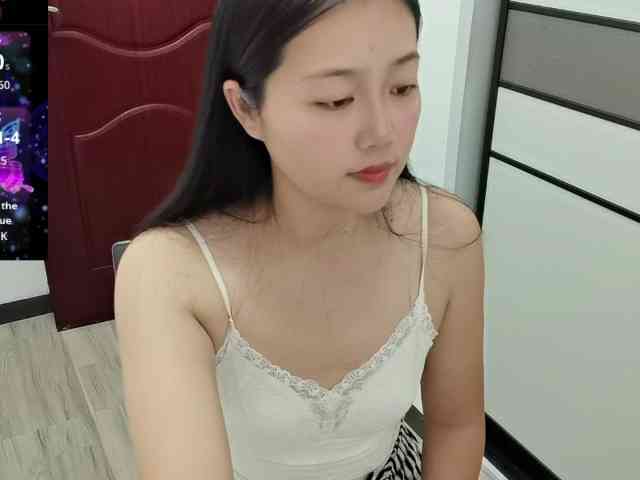 panda-sc231