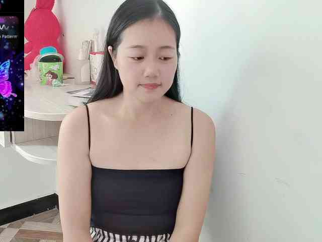 panda-sc231